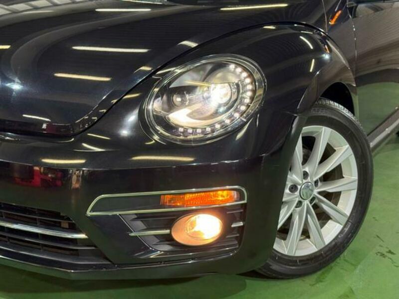 THE BEETLE