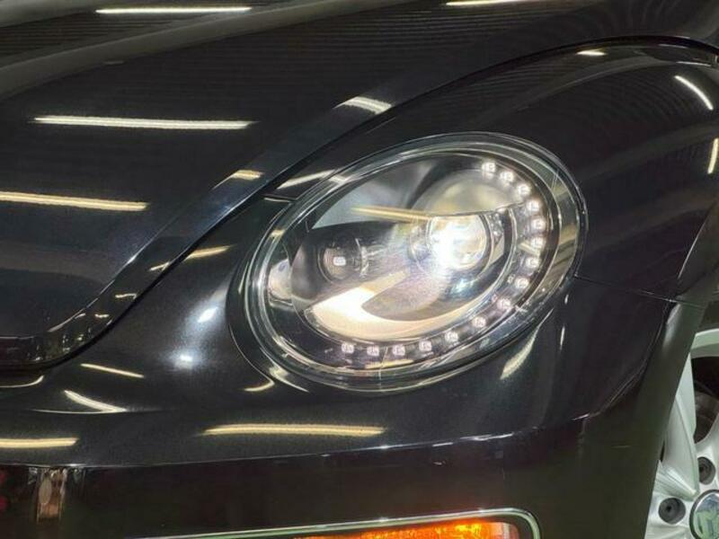 THE BEETLE
