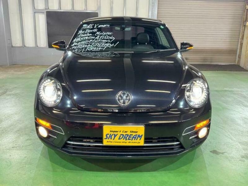 THE BEETLE