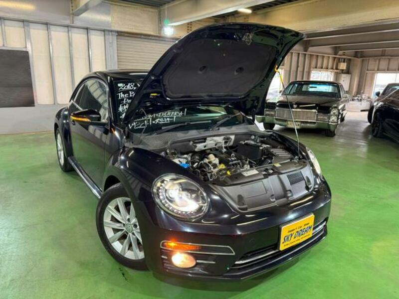THE BEETLE