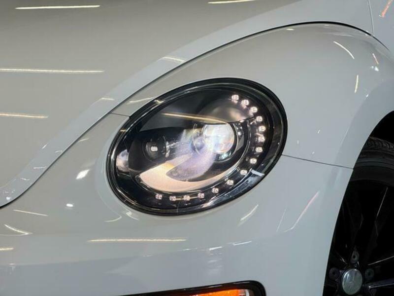 THE BEETLE