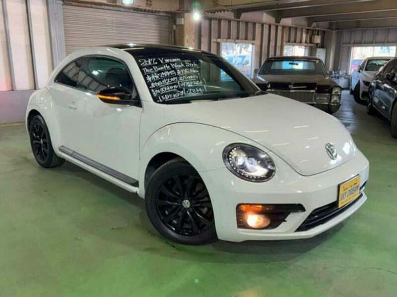 THE BEETLE