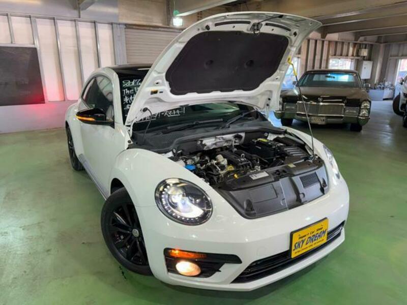 THE BEETLE