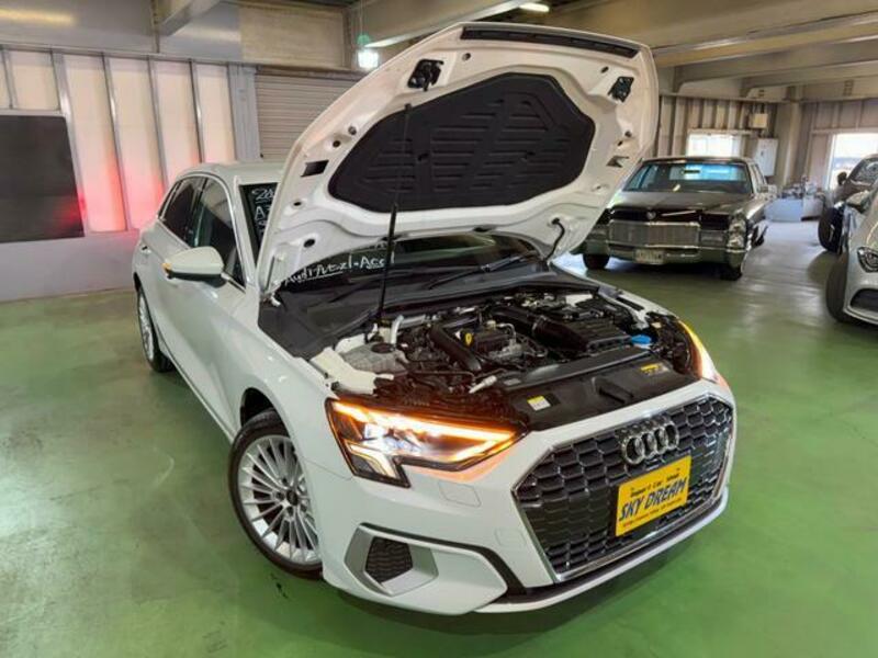 A3