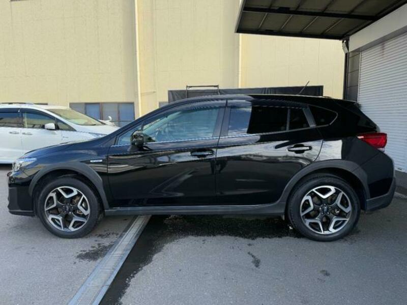 XV