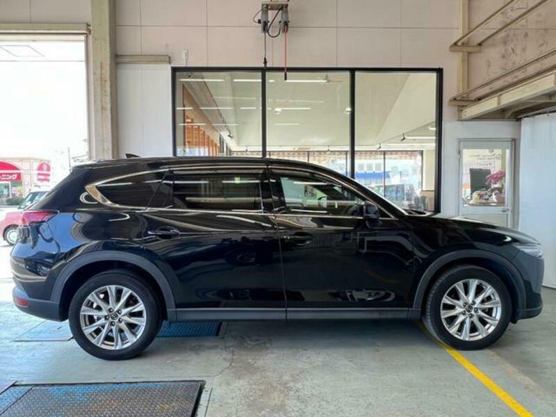 CX-8