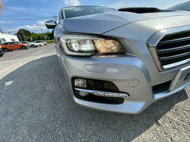 LEVORG