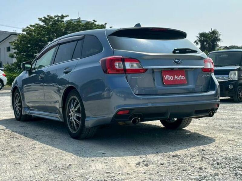 LEVORG