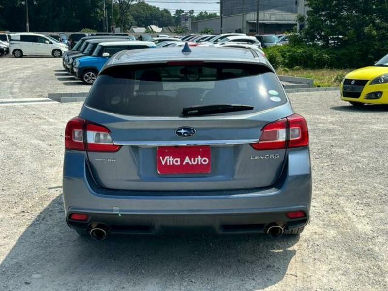 LEVORG