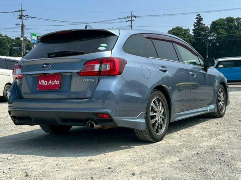 LEVORG