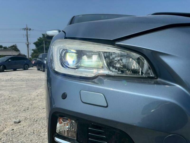 LEVORG