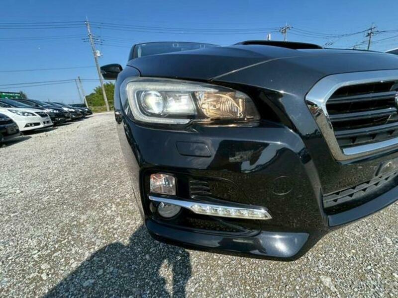 LEVORG
