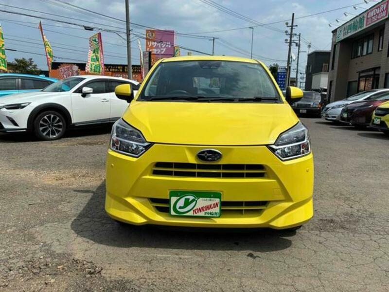 PLEO PLUS