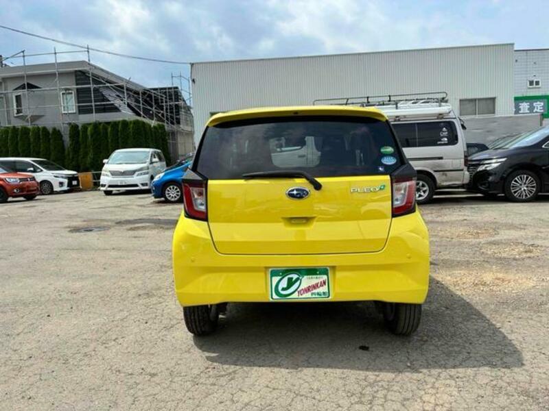 PLEO PLUS