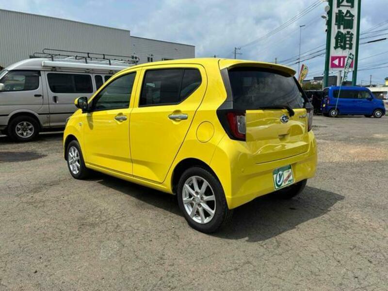 PLEO PLUS