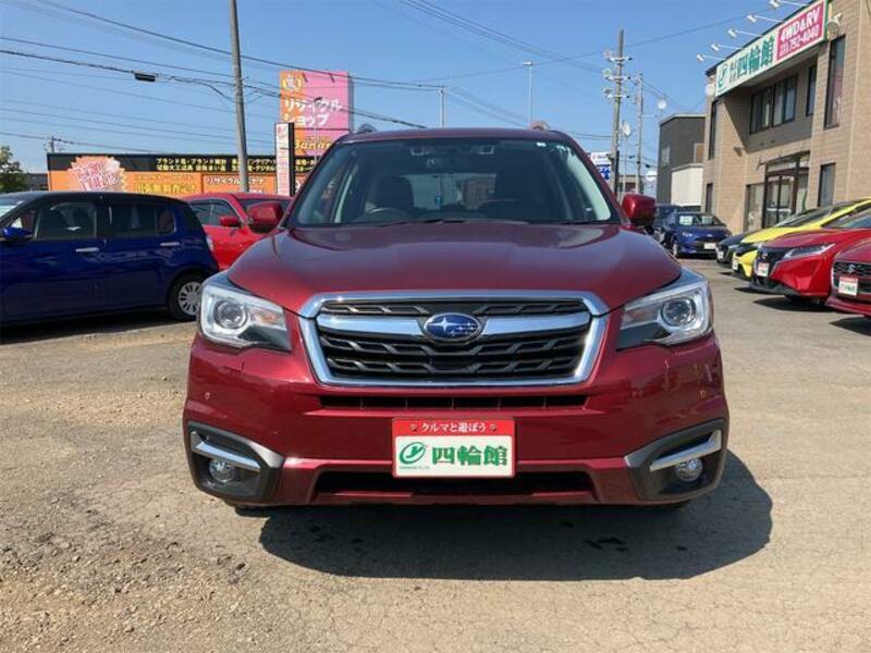 FORESTER