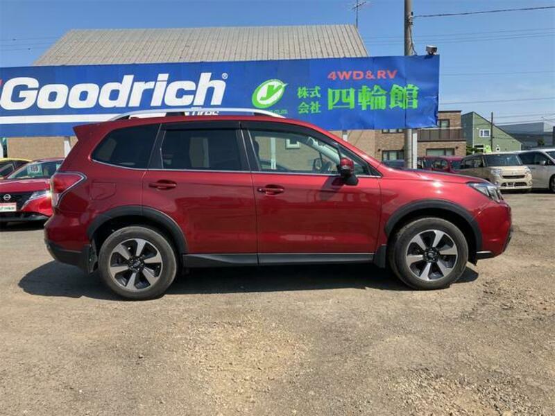 FORESTER