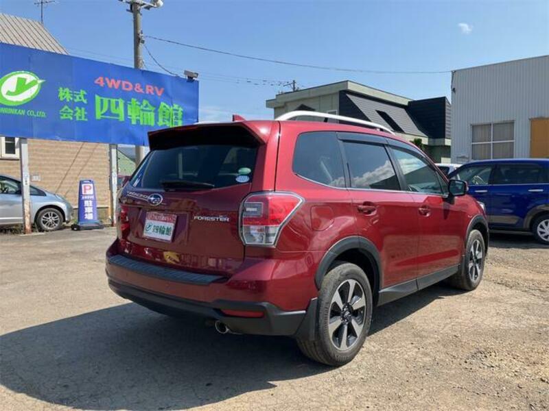 FORESTER