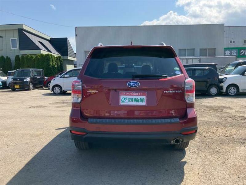 FORESTER