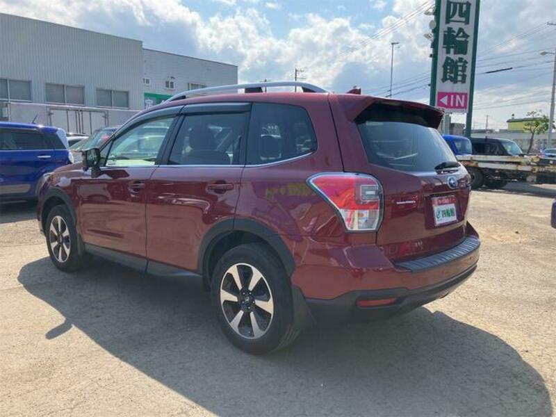 FORESTER