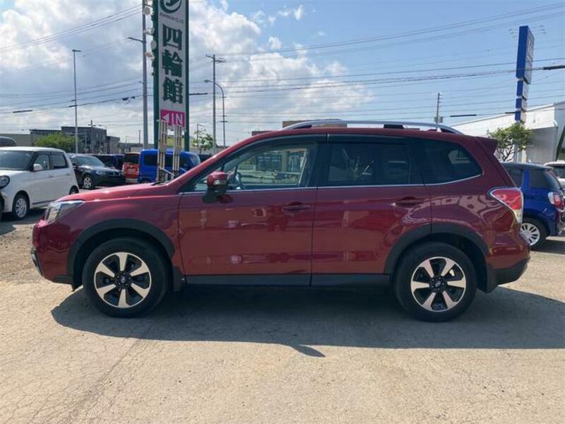 FORESTER