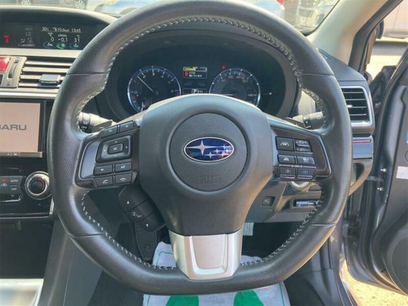 LEVORG