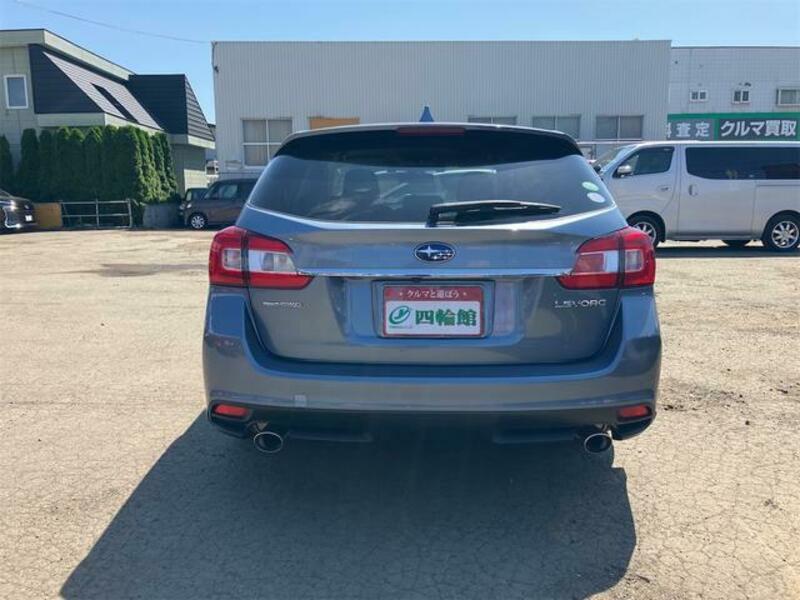 LEVORG