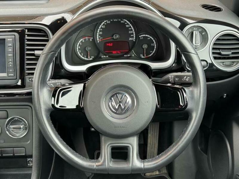 THE BEETLE