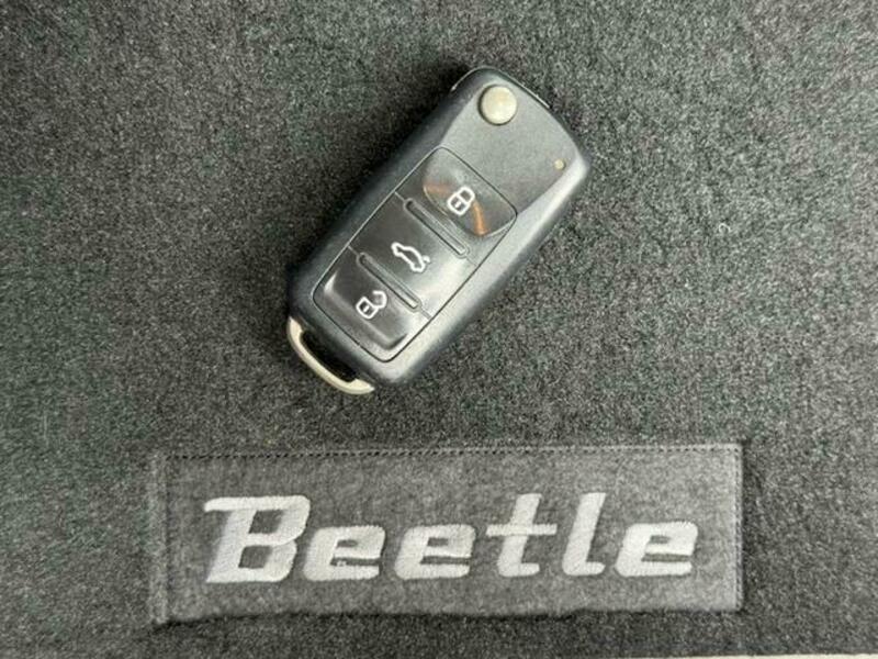 THE BEETLE