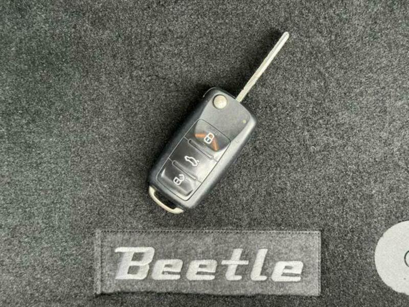 THE BEETLE