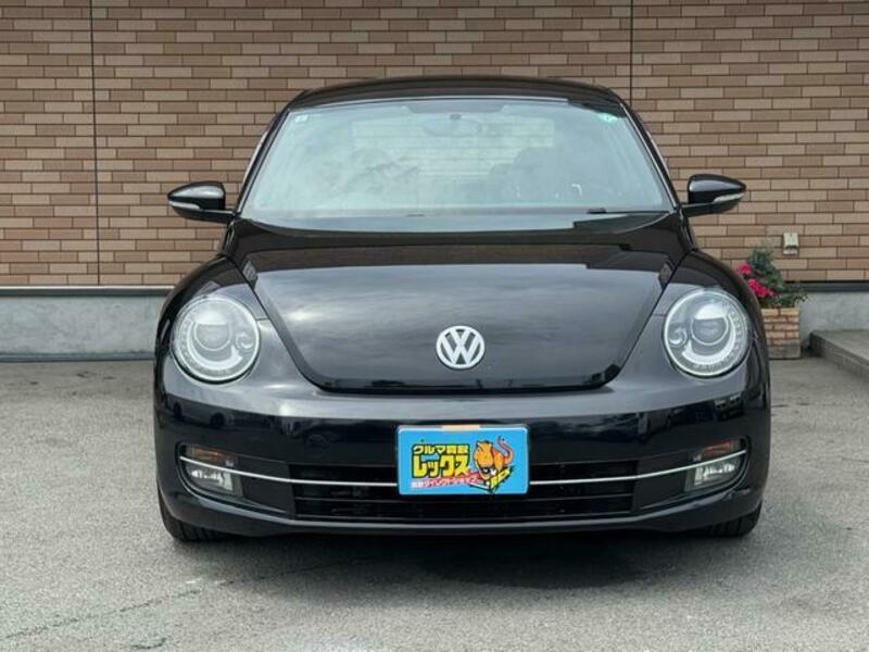 THE BEETLE