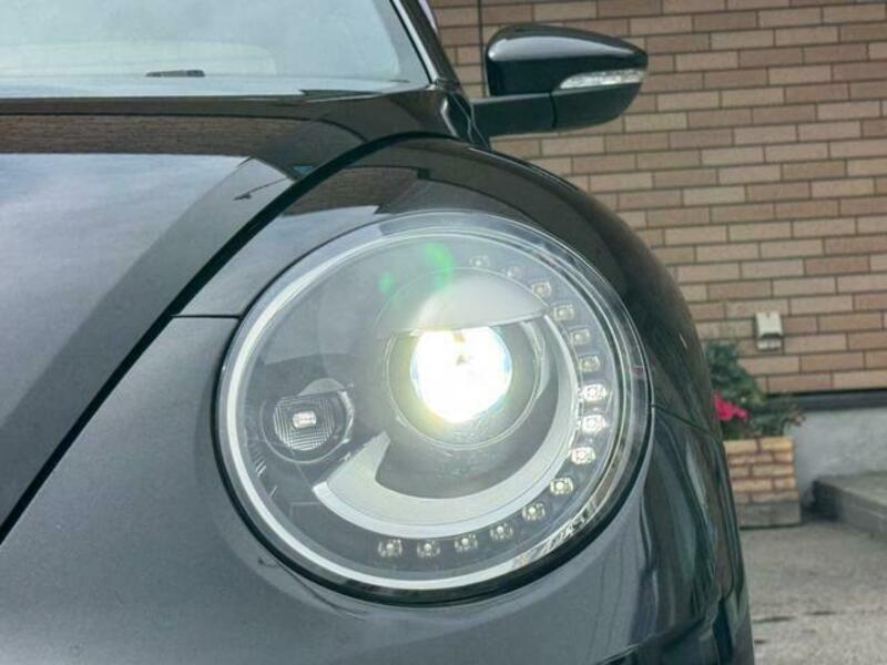 THE BEETLE