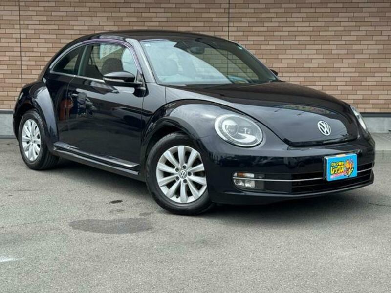THE BEETLE