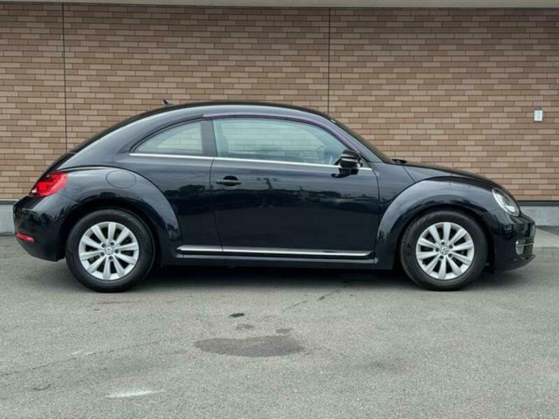 THE BEETLE