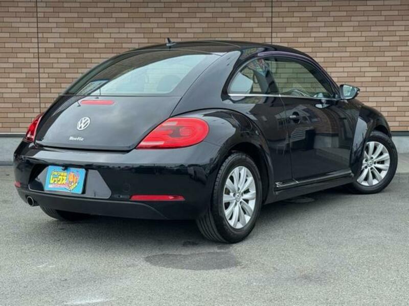 THE BEETLE