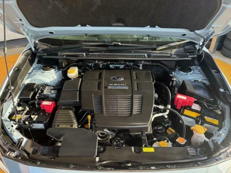 XV