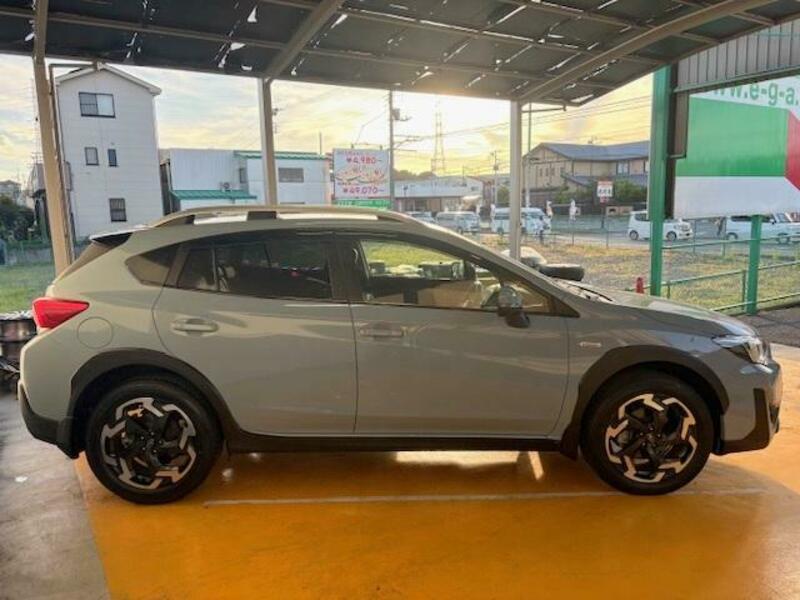 XV