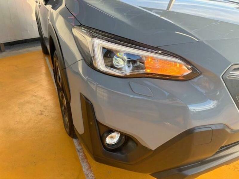 XV