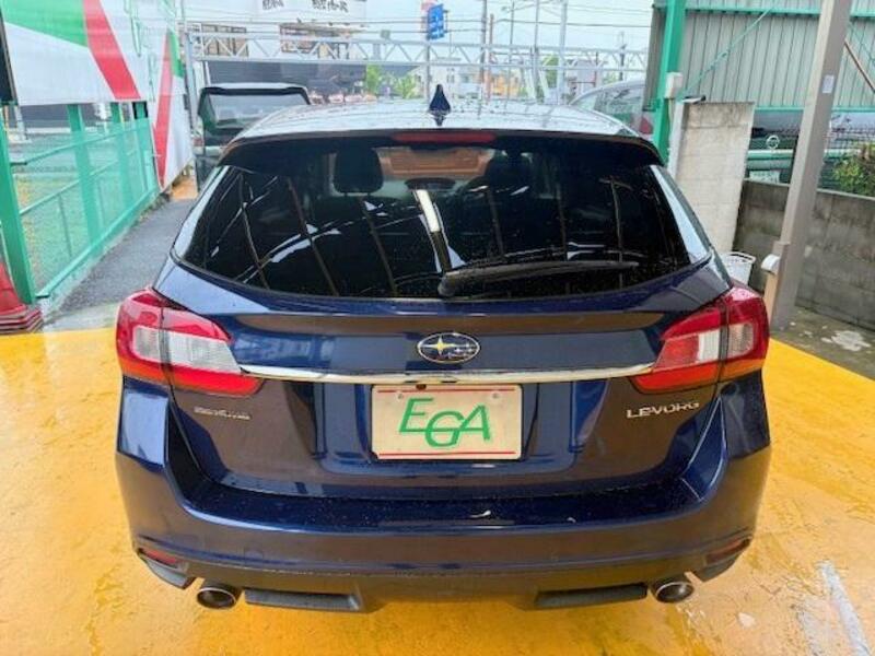 LEVORG