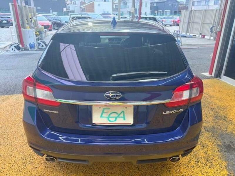 LEVORG