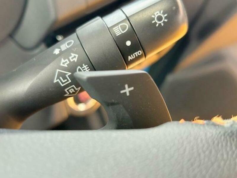 XV