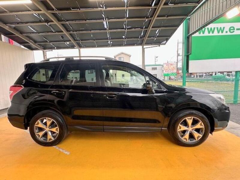 FORESTER