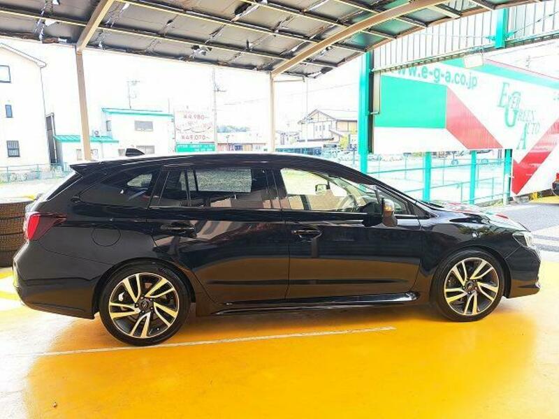 LEVORG