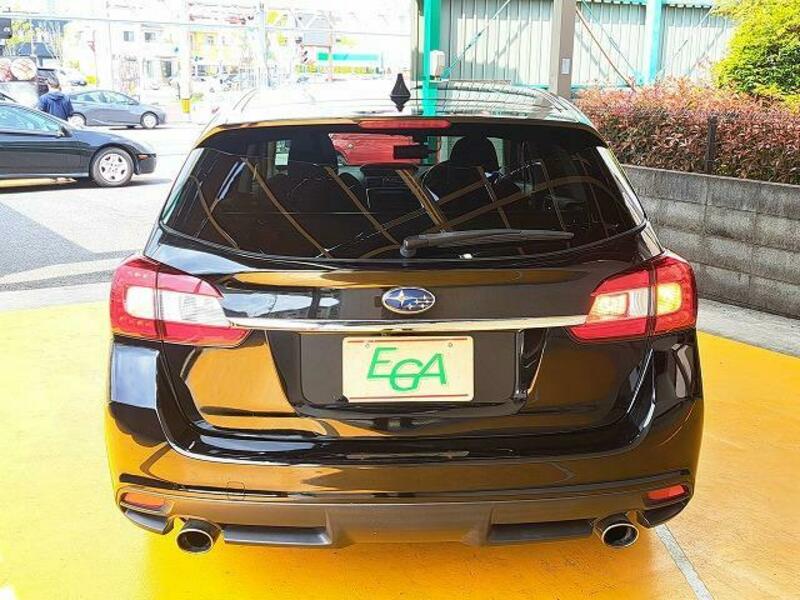 LEVORG