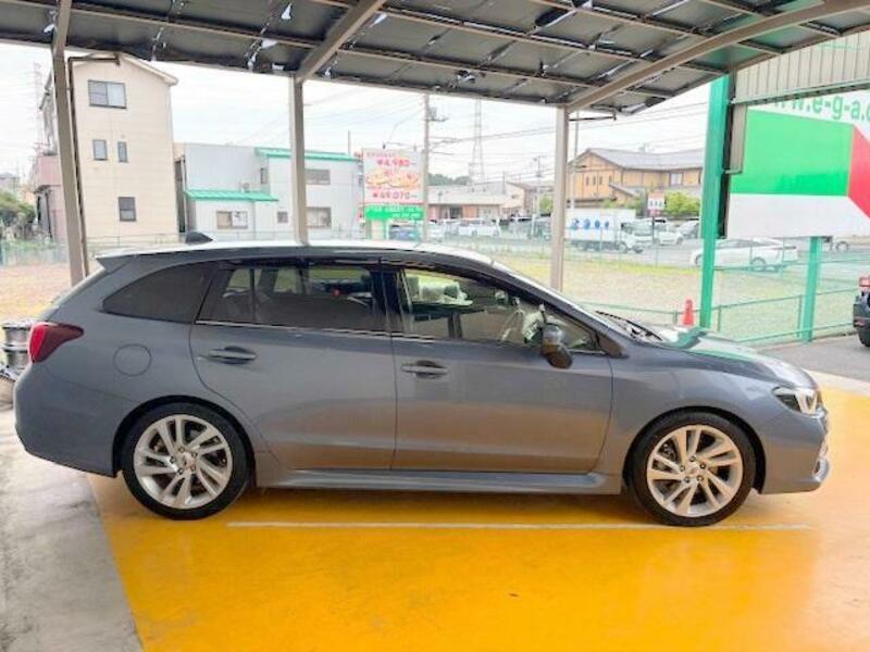 LEVORG