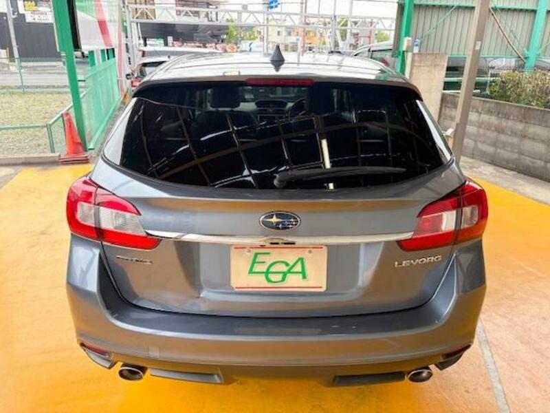 LEVORG
