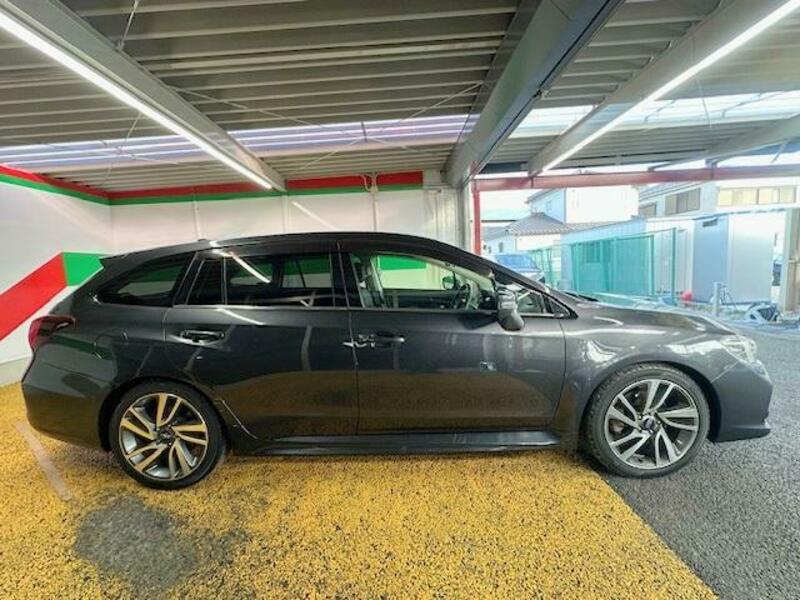 LEVORG