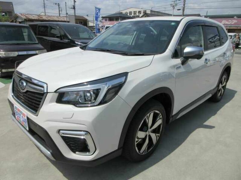 FORESTER