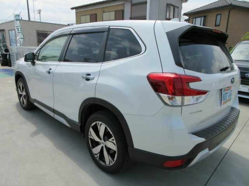 FORESTER