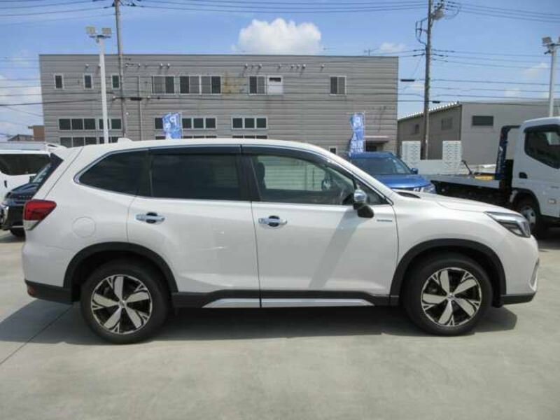 FORESTER